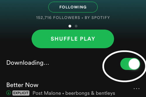 Is It Possible To Download Songs From Spotify